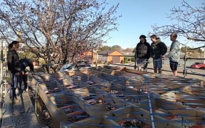 Building News