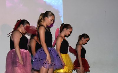 Dance Ambassadors & Troupe